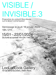 Visible-Invisible 3